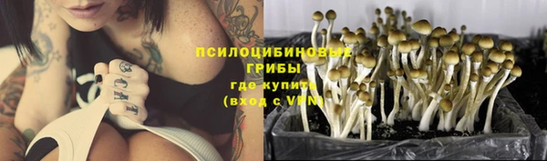 apvp Алексеевка