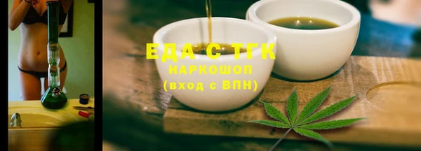 гидра Няндома