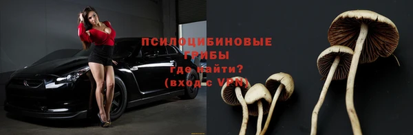 apvp Алексеевка