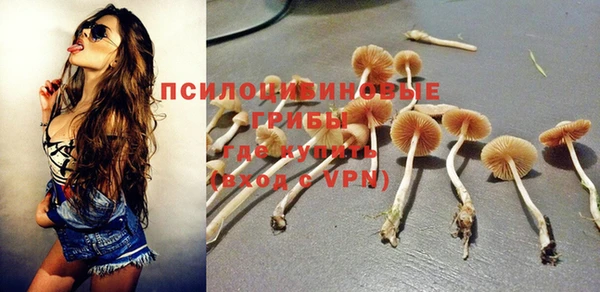 амф Алзамай