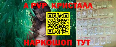spice Новодвинск