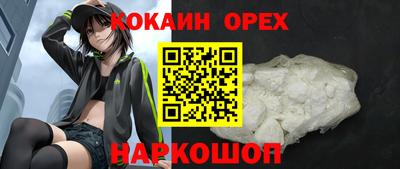 spice Новодвинск