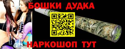 spice Новодвинск