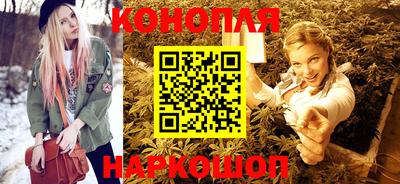 spice Новодвинск