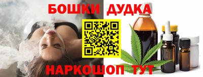 spice Новодвинск