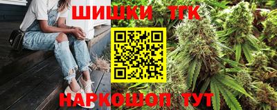 spice Новодвинск