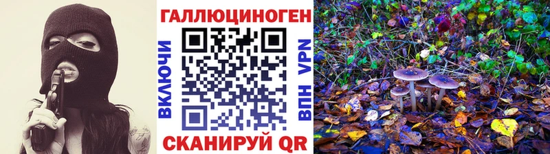 Псилоцибиновые грибы мицелий  кракен онион  Шадринск 