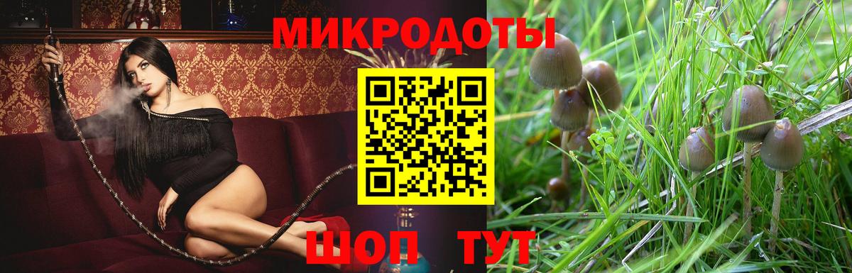 Галлюциногенные грибы Psilocybe  Вход с VPN  Галлюциногенные грибы Magic Shrooms  Шадринск 